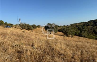 Balıkesir KEPSUT Recep’te yola cepheli 16 dönüm satılık tarla