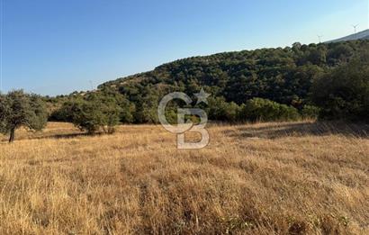 Balıkesir KEPSUT Recep’te yola cepheli 16 dönüm satılık tarla