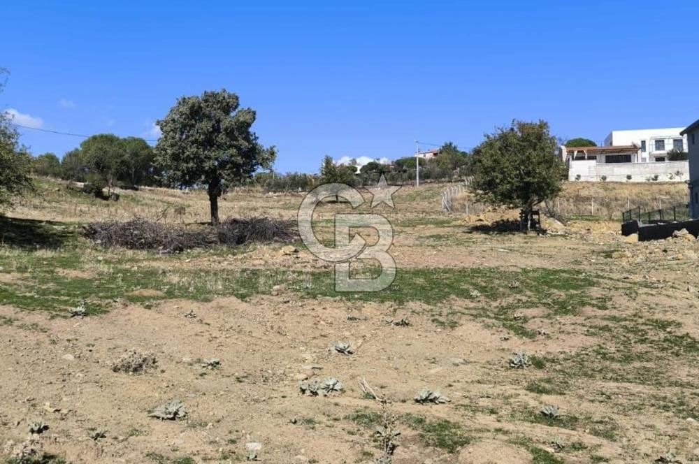 AYVALIK HACIVELİLER’DE 521 m² VİLLA İMARLI ARSA – KOZAK YAYLASI’NA YAKIN, YATIRIM & YAŞAM 