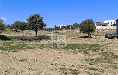 AYVALIK HACIVELİLER’DE 521 m² VİLLA İMARLI ARSA – KOZAK YAYLASI’NA YAKIN, YATIRIM & YAŞAM 