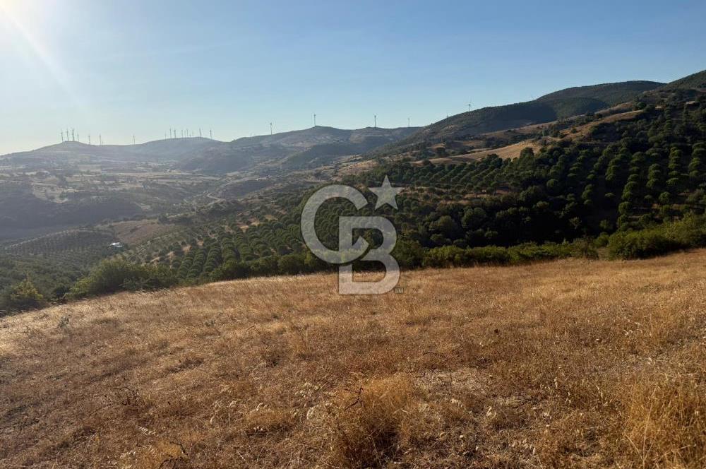 Balıkesir KEPSUT Recep’te yola cepheli 16 dönüm satılık tarla