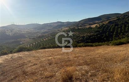 Balıkesir KEPSUT Recep’te yola cepheli 16 dönüm satılık tarla