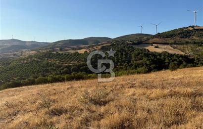 Balıkesir KEPSUT Recep’te yola cepheli 16 dönüm satılık tarla