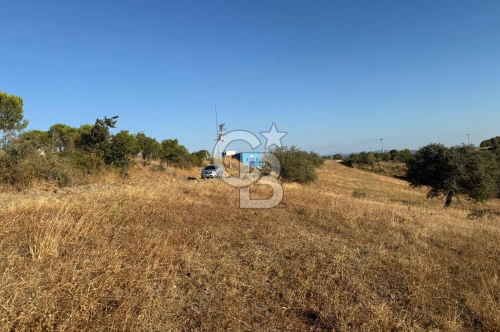 Balıkesir KEPSUT Recep’te yola cepheli 16 dönüm satılık tarla