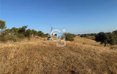 Balıkesir KEPSUT Recep’te yola cepheli 16 dönüm satılık tarla