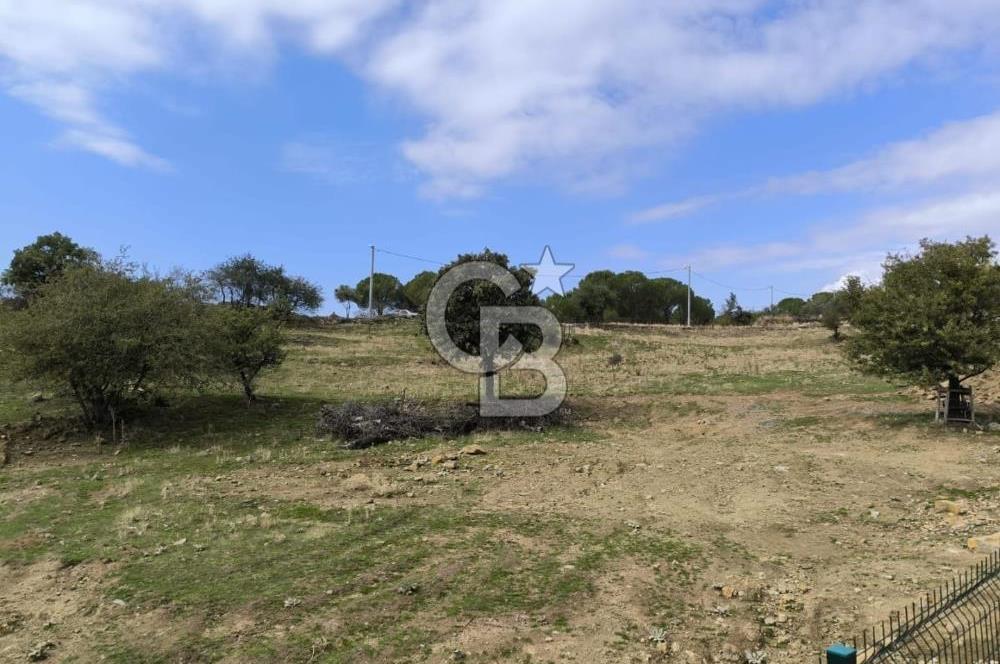 AYVALIK HACIVELİLER’DE 521 m² VİLLA İMARLI ARSA – KOZAK YAYLASI’NA YAKIN, YATIRIM & YAŞAM 