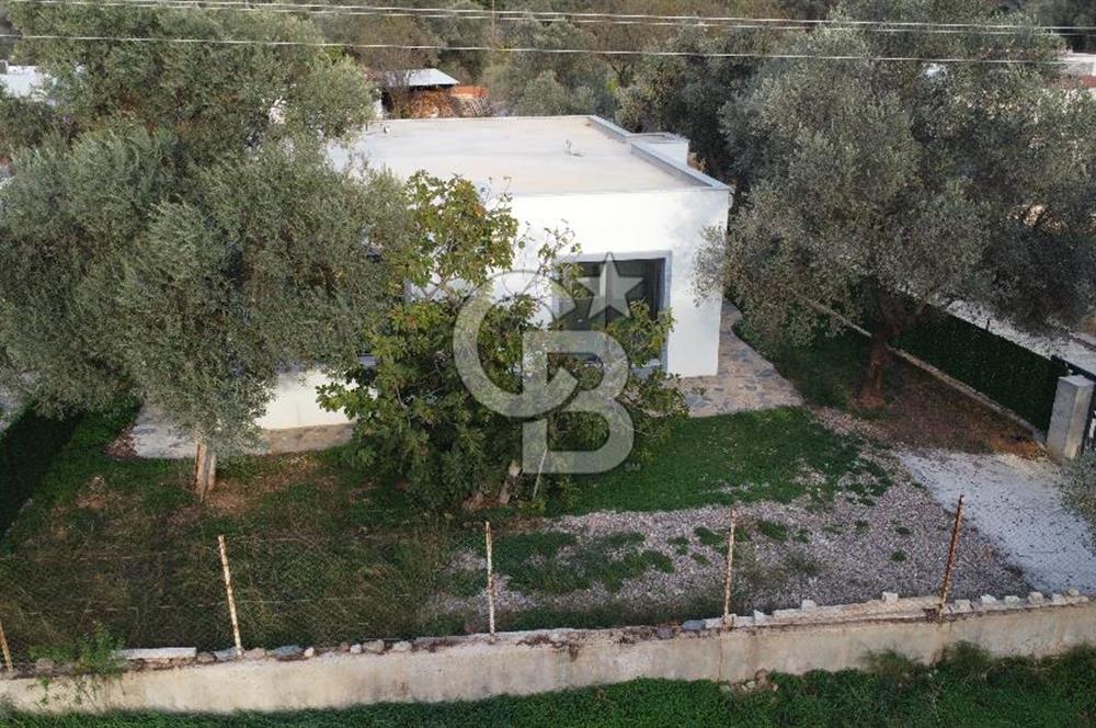 KIZILAĞAÇTA TEK KATLI KİRALIK 2+1 MÜSTAKİL VİLLA