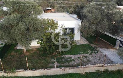 KIZILAĞAÇTA TEK KATLI KİRALIK 2+1 MÜSTAKİL VİLLA