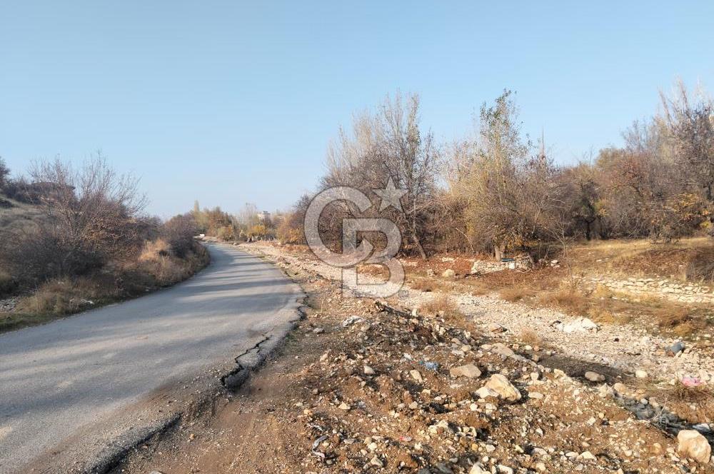 COLDWELL BANKER SAFİR'den AŞAĞIBAĞLAR da 660 m² SATILIK TARLA