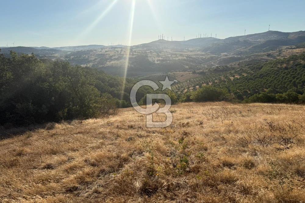 Balıkesir KEPSUT Recep’te yola cepheli 16 dönüm satılık tarla