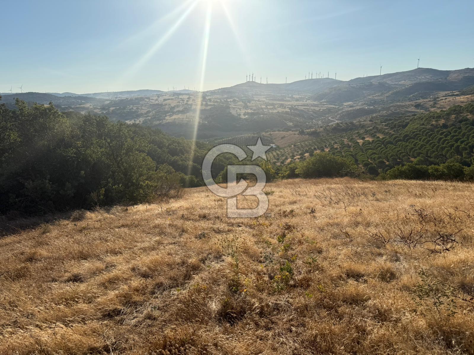 Balıkesir KEPSUT Recep’te yola cepheli 16 dönüm satılık tarla