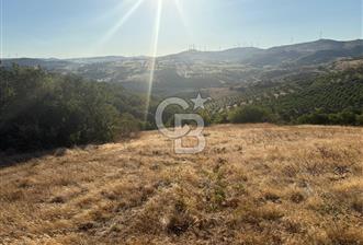 Balıkesir KEPSUT Recep’te yola cepheli 16 dönüm satılık tarla - 10 - 316858