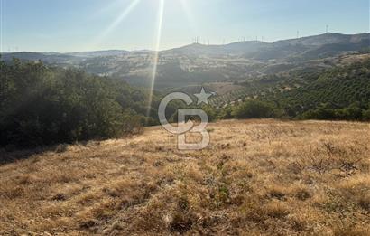 Balıkesir KEPSUT Recep’te yola cepheli 16 dönüm satılık tarla