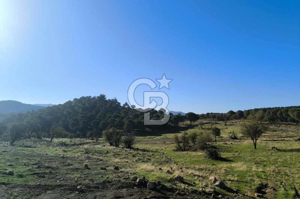 AYVALIK HACIVELİLER’DE 521 m² VİLLA İMARLI ARSA – KOZAK YAYLASI’NA YAKIN, YATIRIM & YAŞAM 