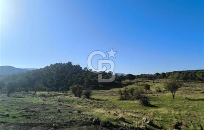 AYVALIK HACIVELİLER’DE 521 m² VİLLA İMARLI ARSA – KOZAK YAYLASI’NA YAKIN, YATIRIM & YAŞAM 