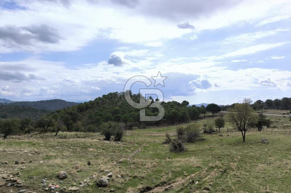 AYVALIK HACIVELİLER’DE 521 m² VİLLA İMARLI ARSA – KOZAK YAYLASI’NA YAKIN, YATIRIM & YAŞAM 