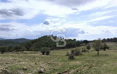 AYVALIK HACIVELİLER’DE 521 m² VİLLA İMARLI ARSA – KOZAK YAYLASI’NA YAKIN, YATIRIM & YAŞAM 