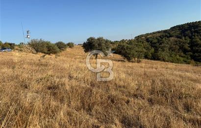 Balıkesir KEPSUT Recep’te yola cepheli 16 dönüm satılık tarla