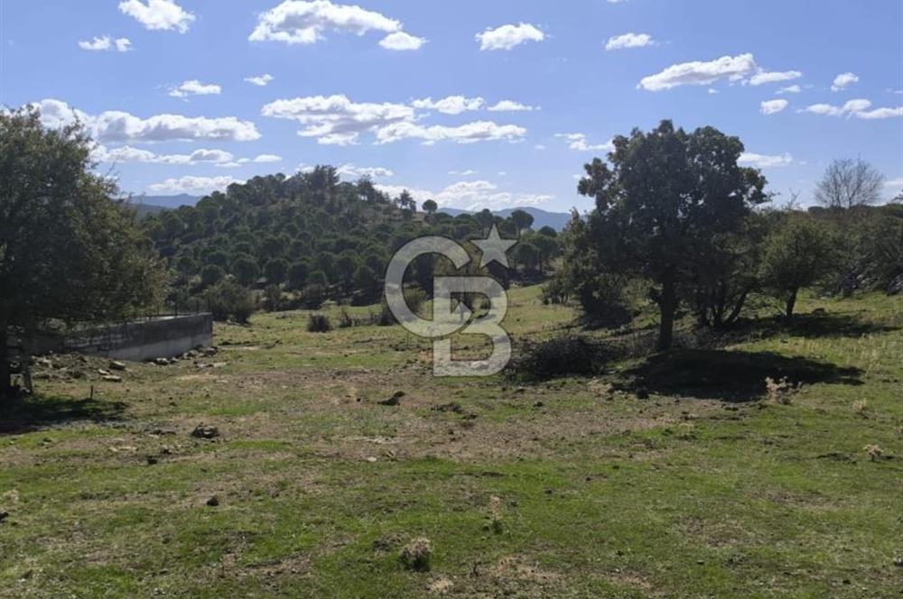 AYVALIK HACIVELİLER’DE 521 m² VİLLA İMARLI ARSA – KOZAK YAYLASI’NA YAKIN, YATIRIM & YAŞAM 