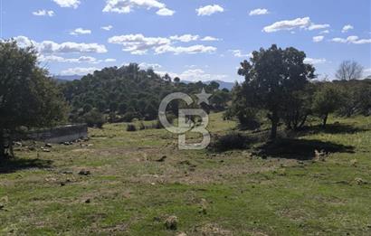 AYVALIK HACIVELİLER’DE 521 m² VİLLA İMARLI ARSA – KOZAK YAYLASI’NA YAKIN, YATIRIM & YAŞAM 