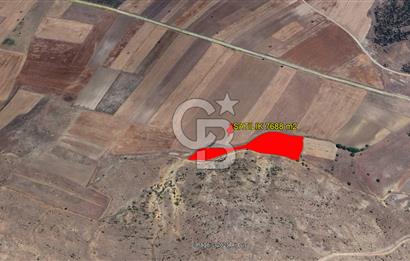 Afyon İhsaniye Kayıhan'da Merkeze Yakın 7.7 Dönüm Satılık TARLA