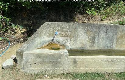 İZMİT ORHANİYE’DE YERLEŞİM YERİNE YAKIN FIRSAT 13.656 m2