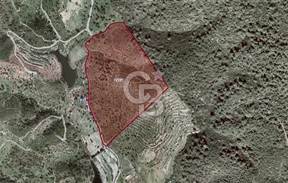 İZMİR SEFERİHİSAR ORHANLI SATILIK  MÜSTAKİL TAPULU TARLA