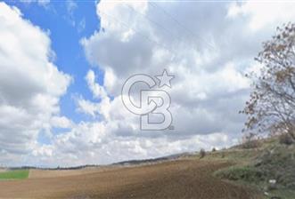 Ankara Çankaya Karataş Mahallesi 532 m2 Bahçe - 10 - 316955