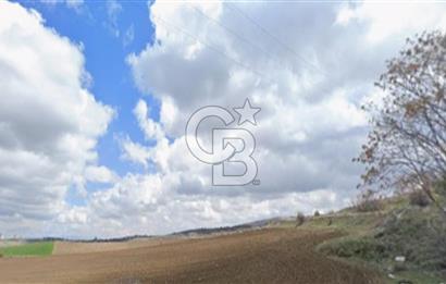 Ankara Çankaya Karataş Mahallesi 532 m2 Bahçe