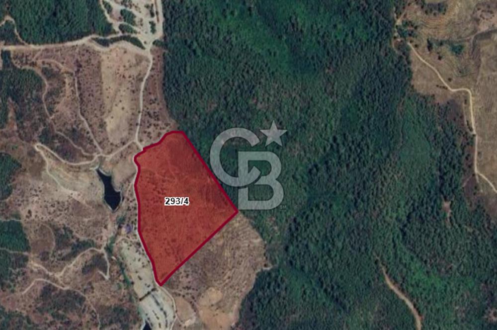 İZMİR SEFERİHİSAR ORHANLI SATILIK  MÜSTAKİL TAPULU TARLA