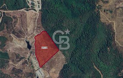 İZMİR SEFERİHİSAR ORHANLI SATILIK  MÜSTAKİL TAPULU TARLA