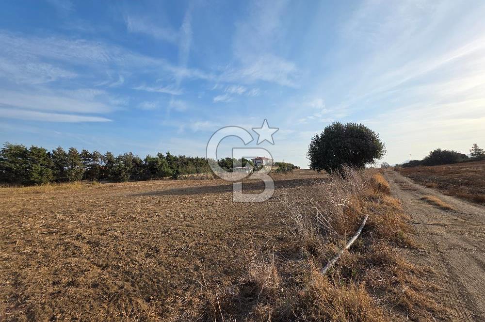 Fırsat Tarla Datça Kızlan' da Yatırımlık Satılık 641 m2 Tarla