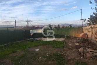 BÜYÜKBAKKALKÖY'DE KİRALIK ARSA - 1 - 316968