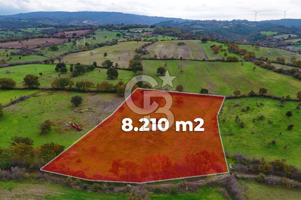 Çanakkale Ayvacık Süleyman Köyünde Satılık 8.210 m2 Tarla !
