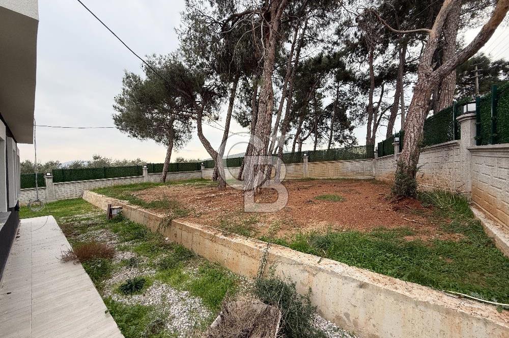 MUSELAND-ÇAKIRBEYLİ KÖYİÇİ