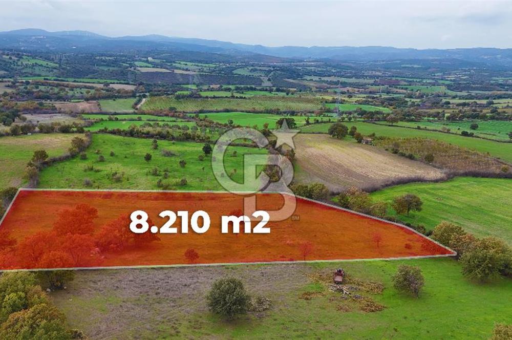Çanakkale Ayvacık Süleyman Köyünde Satılık 8.210 m2 Tarla !