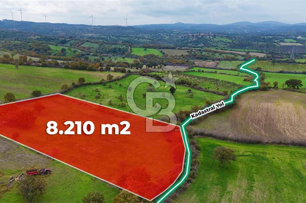 Çanakkale Ayvacık Süleyman Köyünde Satılık 8.210 m2 Tarla !