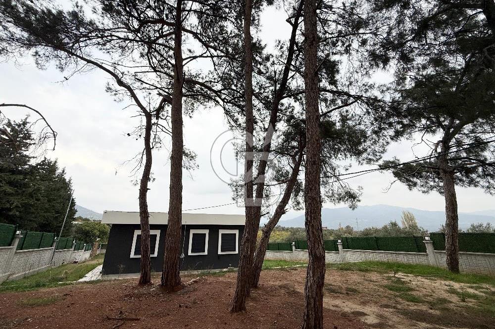 MUSELAND-ÇAKIRBEYLİ KÖYİÇİ