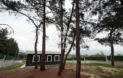 MUSELAND-ÇAKIRBEYLİ KÖYİÇİ