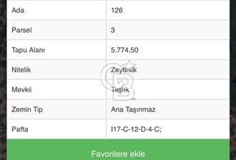 ALTINOLUK ARITAŞI MEVKİİ SATILIK ZEYTİNLİK - 1 - 317010