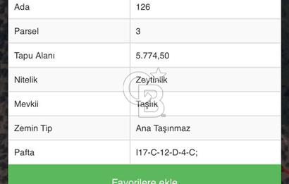 ALTINOLUK ARITAŞI MEVKİİ SATILIK ZEYTİNLİK