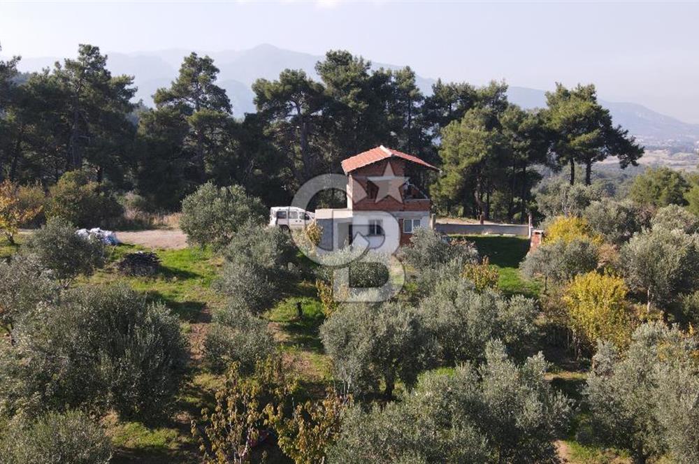 Yukarı Kızılcada 7.916 m2 içerisinde evi olan zeytinlik