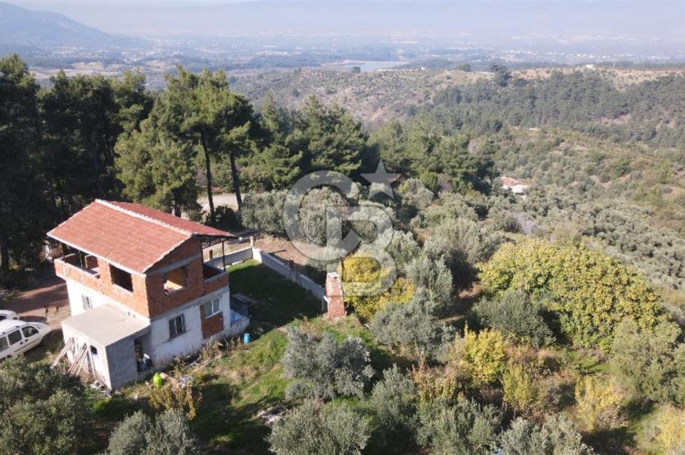 Yukarı Kızılcada 7.916 m2 içerisinde evi olan zeytinlik