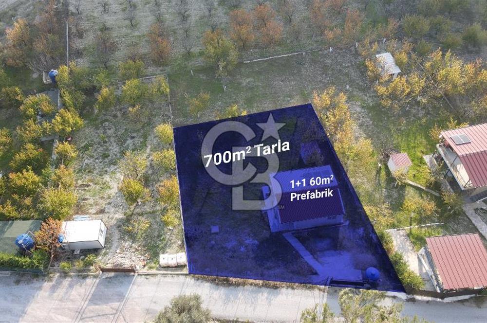 Yakaköy Özbek Mevkiinde 1+1 evi olan kiraz bahçesi