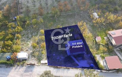 Yakaköy Özbek Mevkiinde 1+1 evi olan kiraz bahçesi