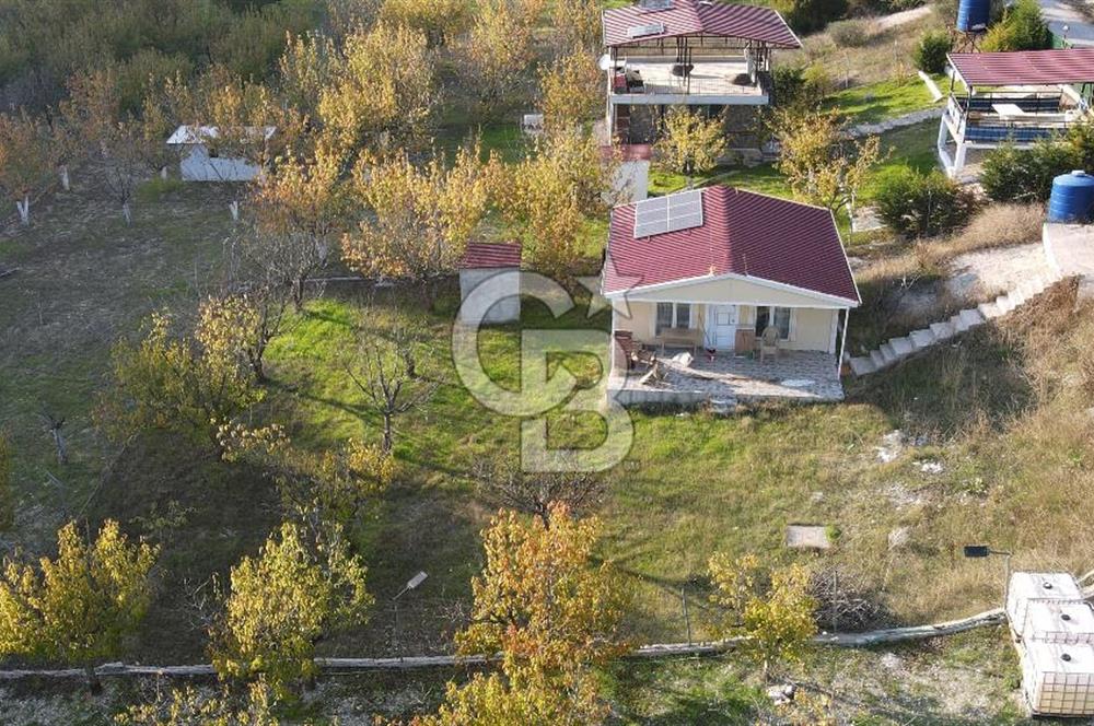 Yakaköy Özbek Mevkiinde 1+1 evi olan kiraz bahçesi