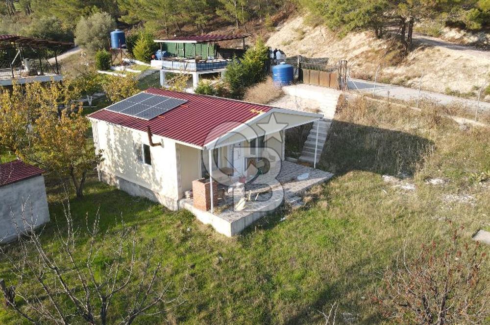 Yakaköy Özbek Mevkiinde 1+1 evi olan kiraz bahçesi