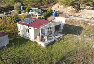 Yakaköy Özbek Mevkiinde 1+1 evi olan kiraz bahçesi - 3 - 316967