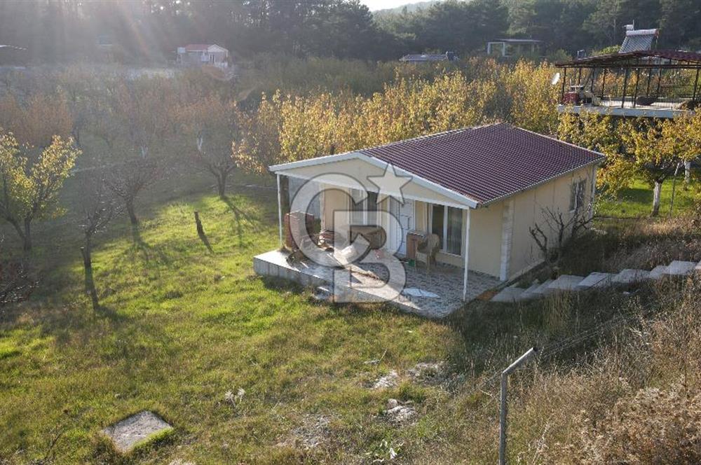 Yakaköy Özbek Mevkiinde 1+1 evi olan kiraz bahçesi