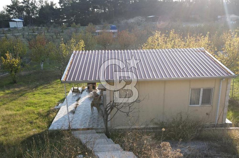 Yakaköy Özbek Mevkiinde 1+1 evi olan kiraz bahçesi